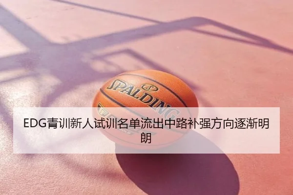 EDG青训新人试训名单流出中路补强方向逐渐明朗
